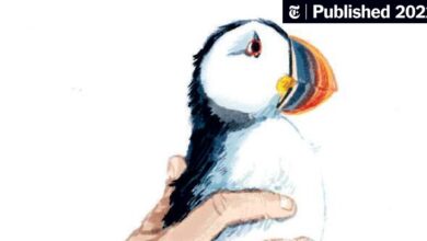 2 Literary Novels Find the Poetry in Animal Rescue