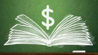 The Economics of Writing a Book