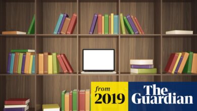 ‘I can get any novel I want in 30 seconds’: can book piracy be stopped? | Ebooks