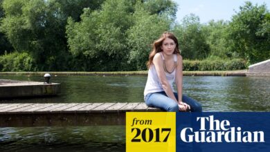 ‘We’re told to be grateful we even have readers’: pirated ebooks threaten the future of book series | Ebooks