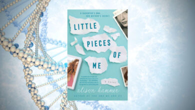 Q&A with Author Alison Hammer on her book “Little Pieces of Me”