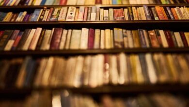 Where to read your favourite authors for free (without being a pirate bastard)