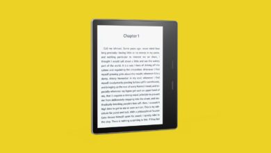 The Kindle Changed the Book Business. Can It Change Books?