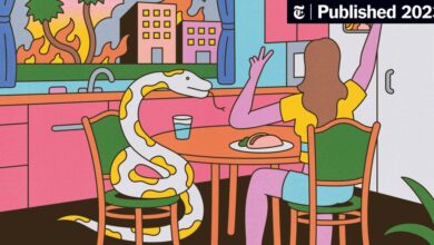 Book Review: ‘Blue Skies,’ by T.C. Boyle