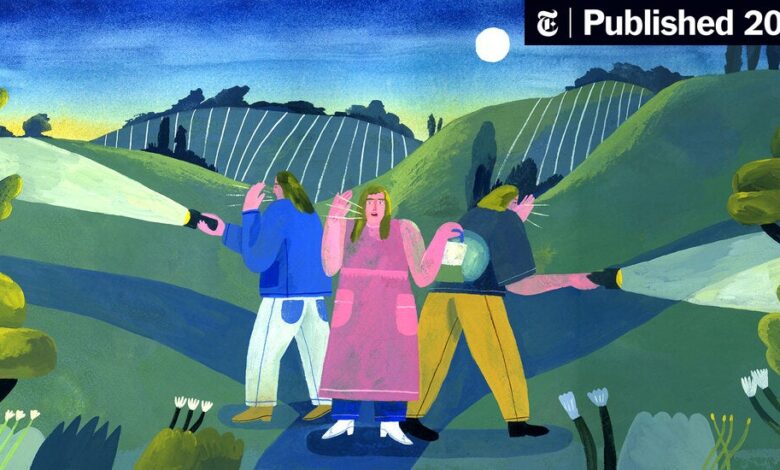 A Tale of Four Troubled and Talented Sisters, Told With Irish Flair A Tale of Four Troubled and Talented Sisters, Told With Irish Flair