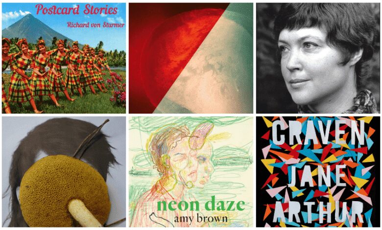The 10 best New Zealand poetry collections of 2019 The 10 best New Zealand poetry collections of 2019