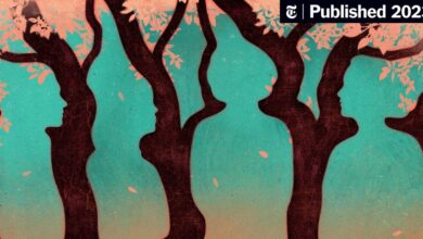 Book Review: ‘Tom Lake,’ by Ann Patchett