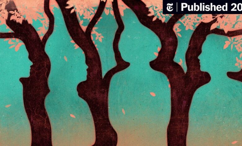 Book Review: ‘Tom Lake,’ by Ann Patchett Book Review: ‘Tom Lake,’ by Ann Patchett