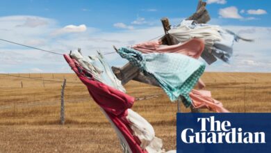The Mighty Red by Louise Erdrich review – a multifaceted rural tale | Fiction