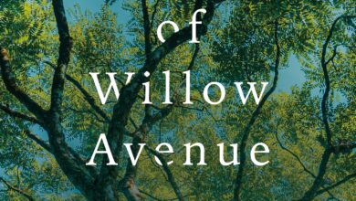 Climate Crisis on One Street: Q&A With Author Mike Tidwell