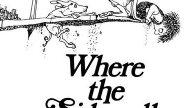 The 16 Best Shel Silverstein Books, Ranked