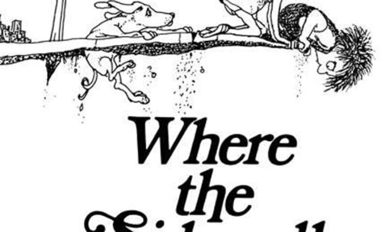 The 16 Best Shel Silverstein Books, Ranked The 16 Best Shel Silverstein Books, Ranked