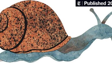 Rhyme Zone – Books – Review