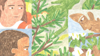 Book Review: ‘Heartwood,’ by Amity Gaige