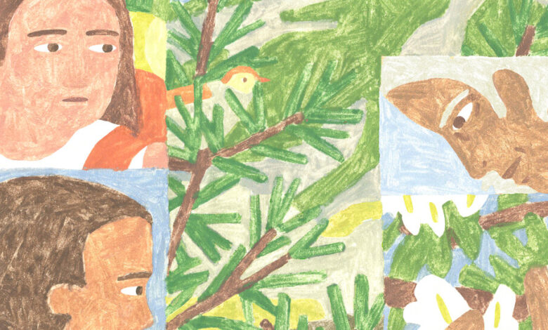 Book Review: ‘Heartwood,’ by Amity Gaige Book Review: ‘Heartwood,’ by Amity Gaige
