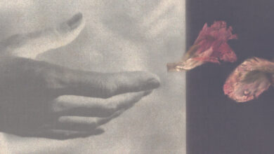 Book Review: ‘Firstborn,’ by Lauren Christensen