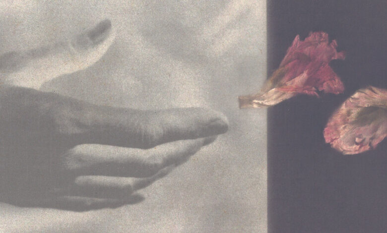 Book Review: ‘Firstborn,’ by Lauren Christensen