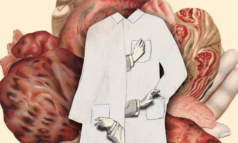 Book Review: ‘Butcher,’ by Joyce Carol Oates Book Review: ‘Butcher,’ by Joyce Carol Oates