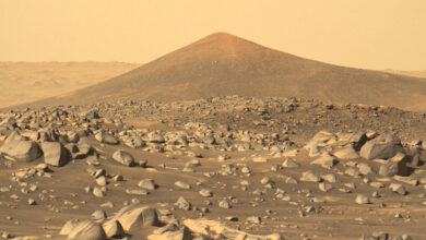 Book Review: ‘More Everything Forever,’ by Adam Becker