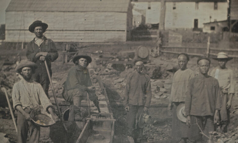 Book Review: ‘Strangers in the Land,’ by Michael Luo