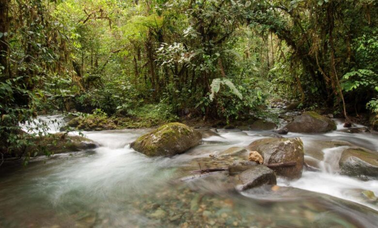 Is a River Alive? review: Robert Macfarlane is wrong to cast rivers as life forms in new book