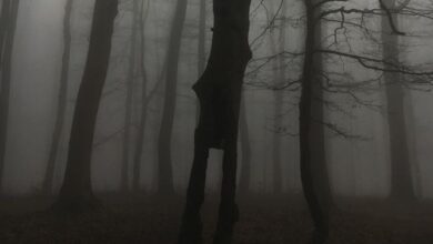 Horror Anthology Books For Some Mid-Year Frights