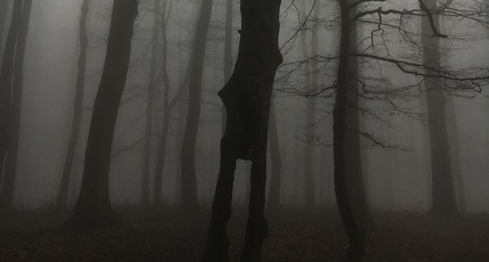 Horror Anthology Books For Some Mid-Year Frights Horror Anthology Books For Some Mid-Year Frights
