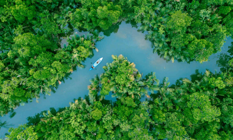 An Impassioned Ode to the Riverine World