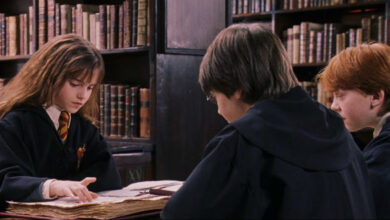 What NaNoWriMo Books Would the “Harry Potter” Characters Write?