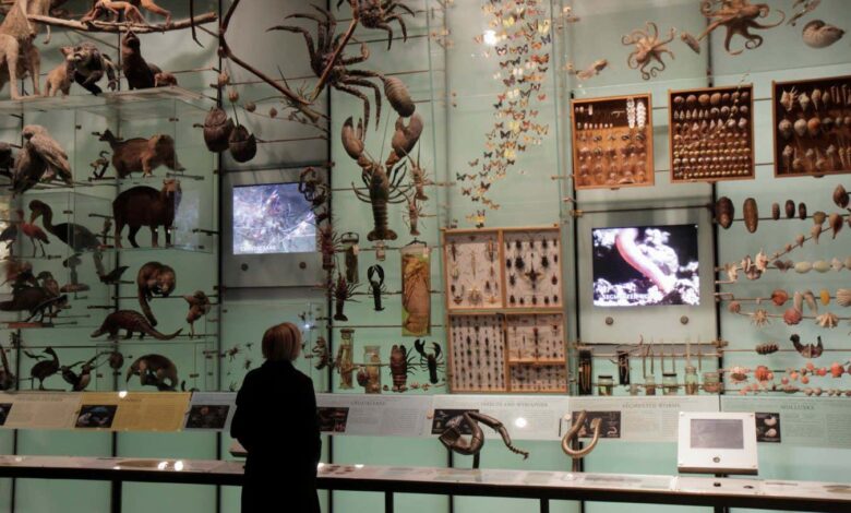 Nature’s Memory review: A new book reveals the deep flaws in our natural history museums Nature’s Memory review: A new book reveals the deep flaws in our natural history museums