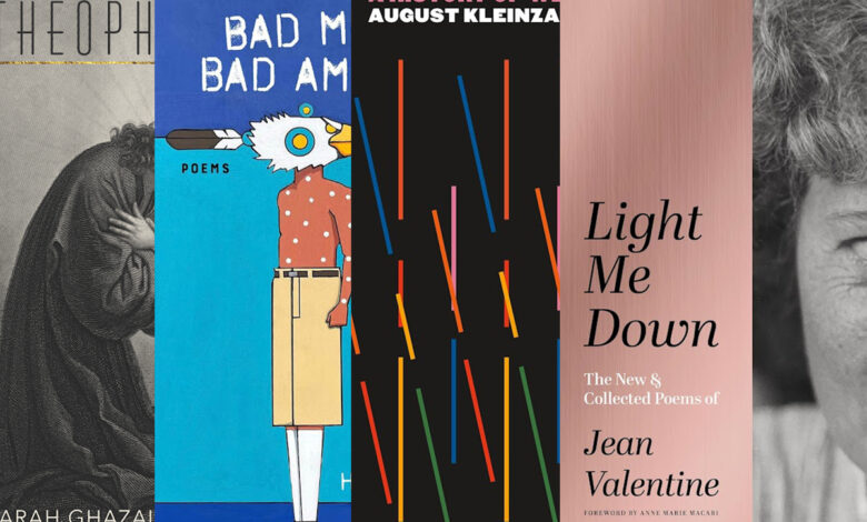 Book Review | 31 Outstanding Poetry Books from 2024: Alcalá to Zarin Book Review | 31 Outstanding Poetry Books from 2024: Alcalá to Zarin