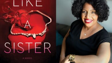 Like A Sister Discussion Questions