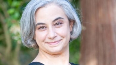 Review: Laurie Frankel’s funny, revelatory novel ‘Family Family’