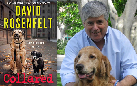 Q&A with David Rosenfelt, Author of Collared