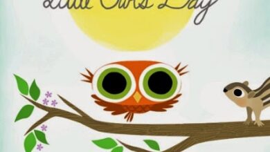 Austin – Q&A with Children’s Author Divya Srinivasan