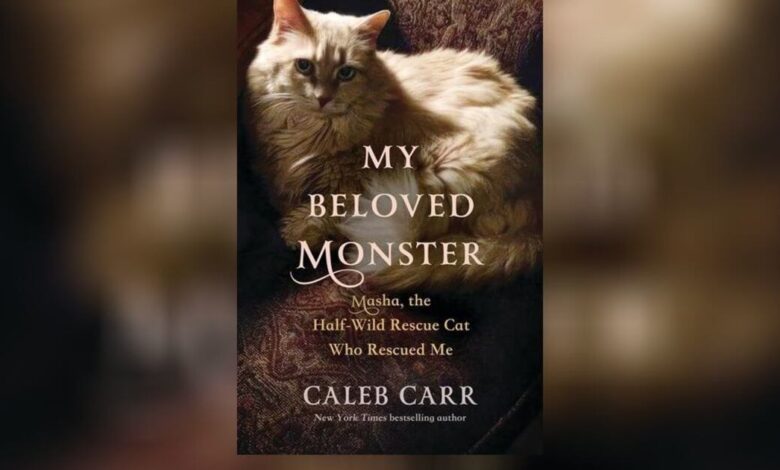 Confessions of a book lover occasionally set loose upon the world Confessions of a book lover occasionally set loose upon the world