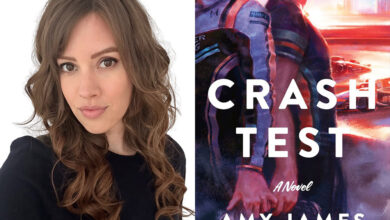 Q&A: Amy James, Author of ‘Crash Test’