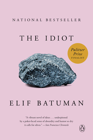 Book Review: The Idiot Book Review: The Idiot