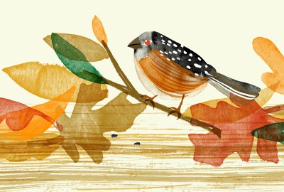 Illustration of bird on autumn foliage