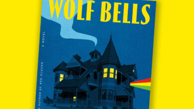 Book Review: A Novel of an Anarchist Nursing Home Run by 1970s Punks