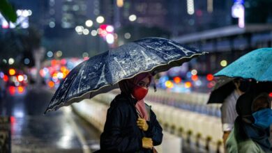 Review of Avtar Singh’s new pandemic novel, The Pretenders Review of Avtar Singh’s new pandemic novel, The Pretenders