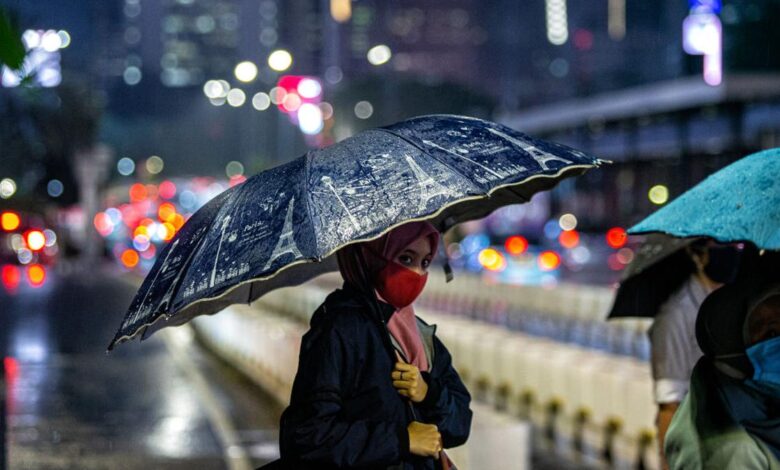 Review of Avtar Singh’s new pandemic novel, The Pretenders