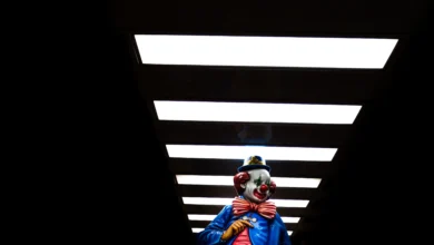 The Don’ts And Definitely Don’ts of Writing Stupid-Funny Books The Don’ts And Definitely Don’ts of Writing Stupid-Funny Books