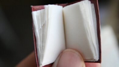 Why You Should Write a Novella for NaNoWriMo 2021