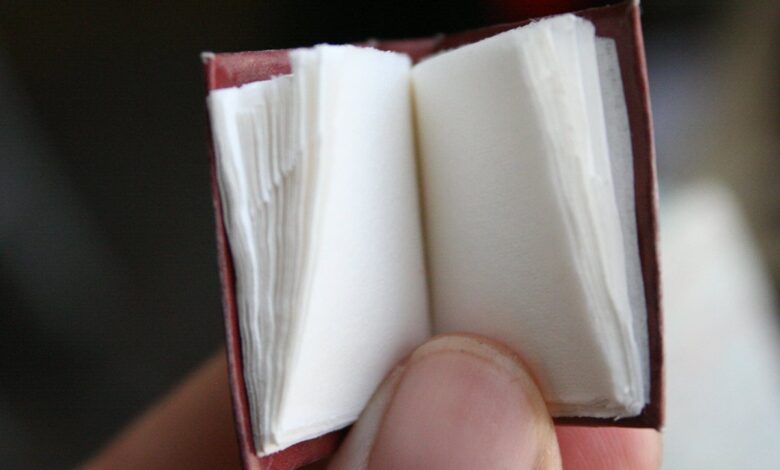 Why You Should Write a Novella for NaNoWriMo 2021